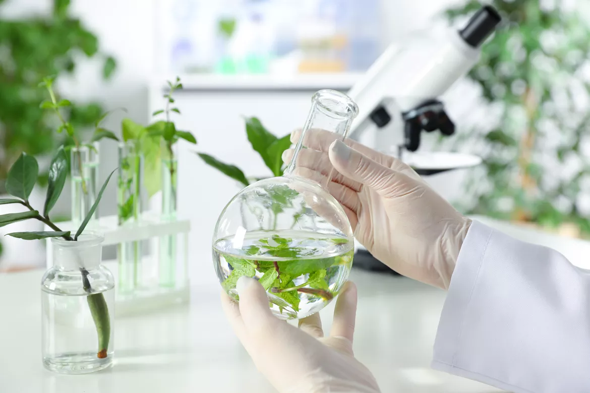 activite_ingenica_chimie_verte