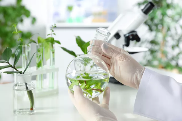 activite_ingenica_chimie_verte