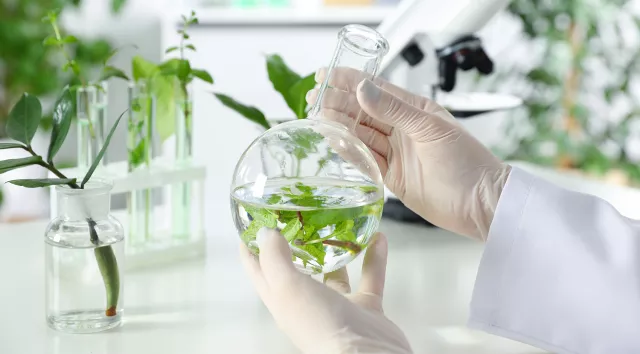 Image of Chimie verte